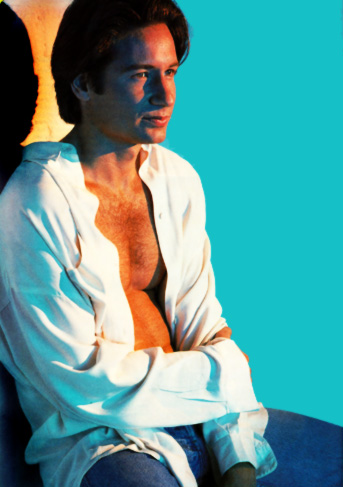 David Duchovny from movie